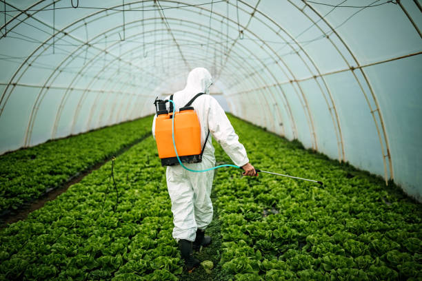 Best Best Pest Control Near Me  in Malakoff, TX