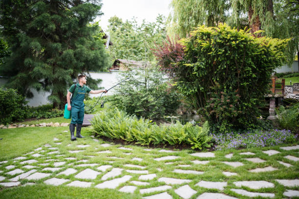 Best Pest Control for Homes  in Malakoff, TX