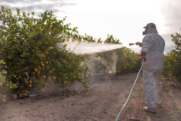 Best Cockroach Control Services  in Malakoff, TX