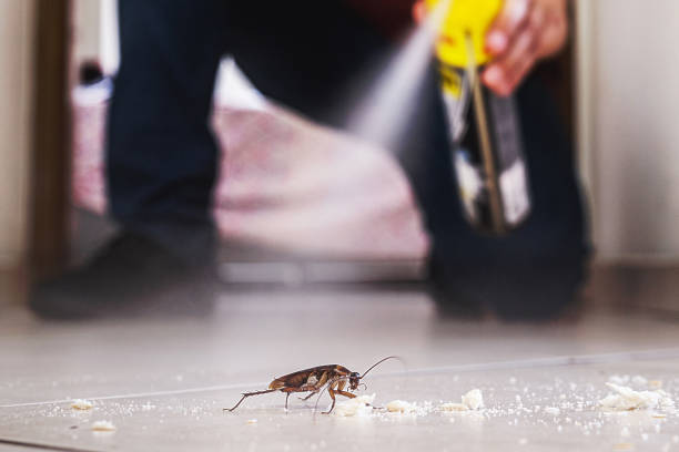 Professional Pest Control in Malakoff, TX